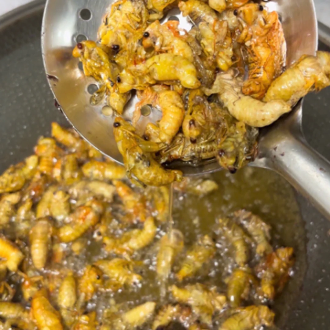 高山野生白蝉 嫩知了 金蝉脱壳 一瓶50只 京东包邮冷冻发货