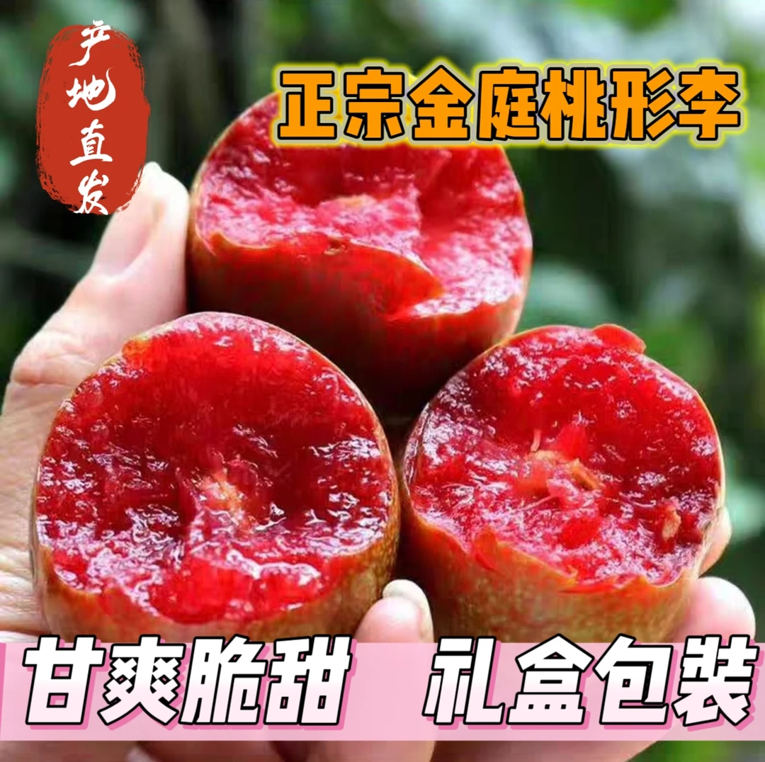 嵊州金庭桃形李新鲜水果当季现摘十年老树甘爽脆甜可口桃形李