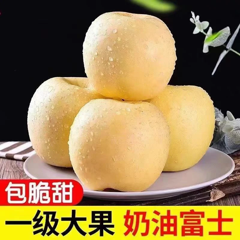 [精选品质】正宗脆甜维c黄金奶油富士苹果脆甜多汁水果生鲜食品丑