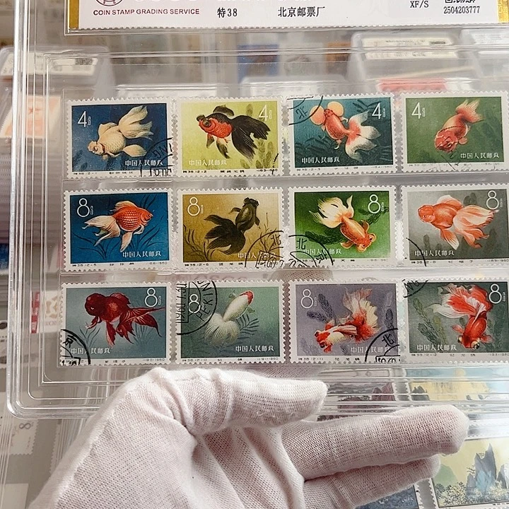 特38金鱼盖销评级98邮票