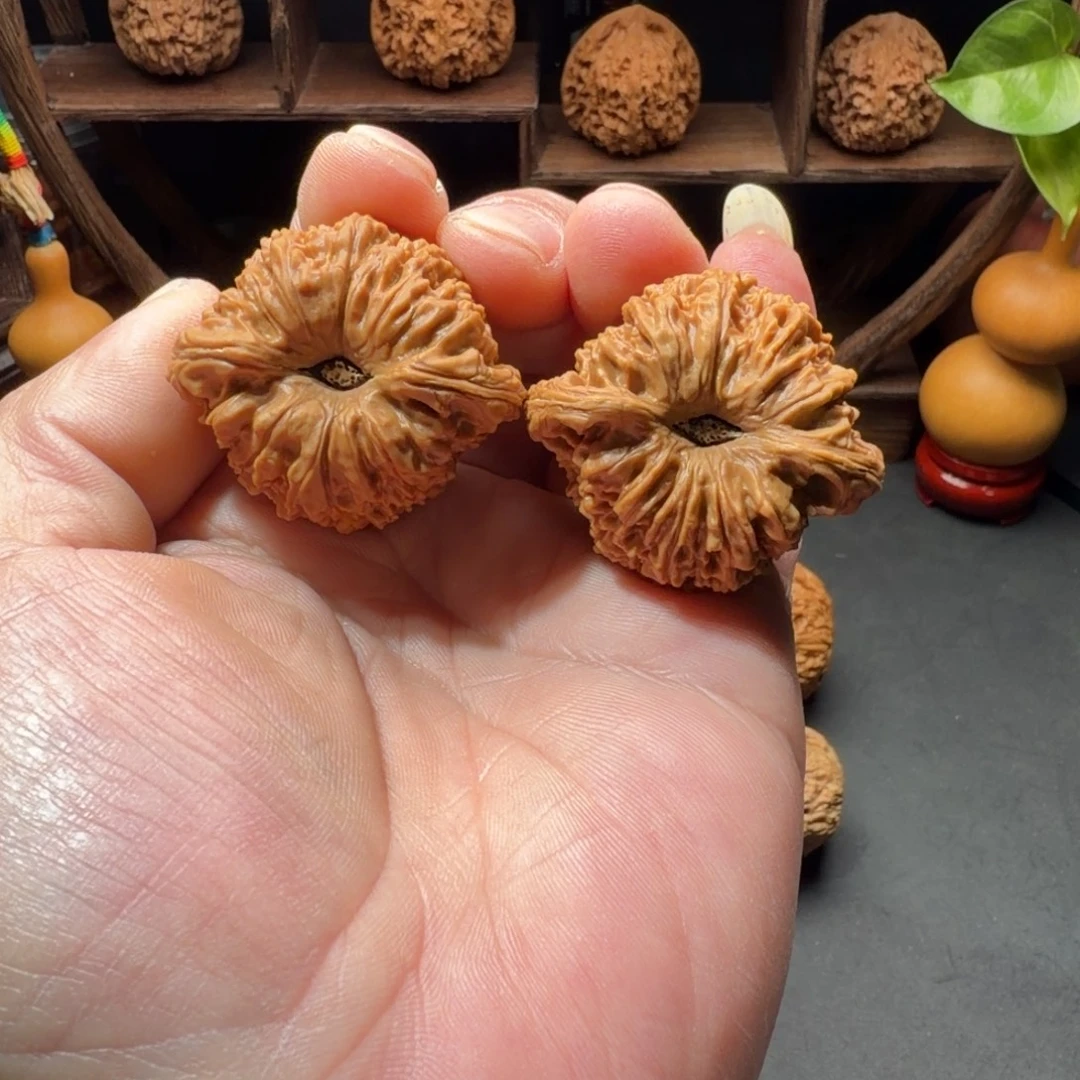 把件文玩核桃南疆石团子凹底拉丝尺寸43