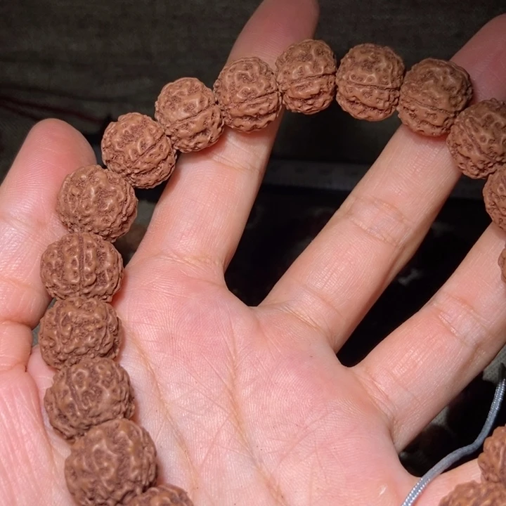 菩提貟**金刚菩提 金刚菩提