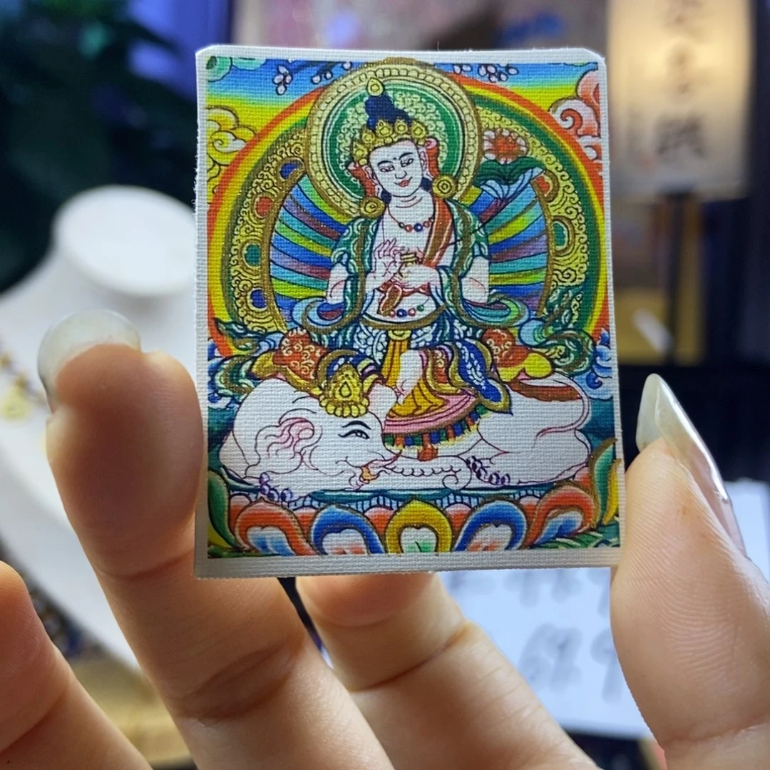 普贤老师单面款式