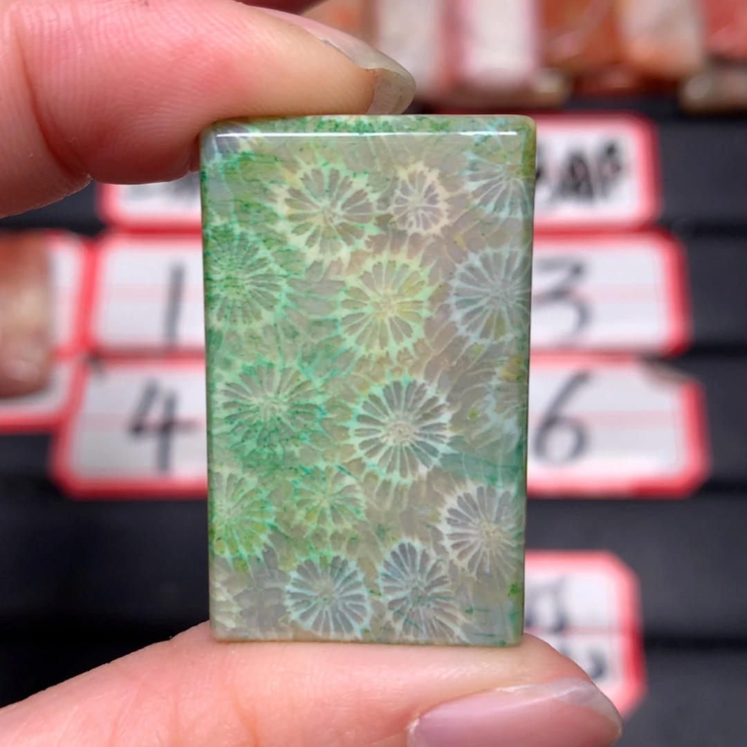 【闪购商品】未镶嵌颈饰硅化玉明*