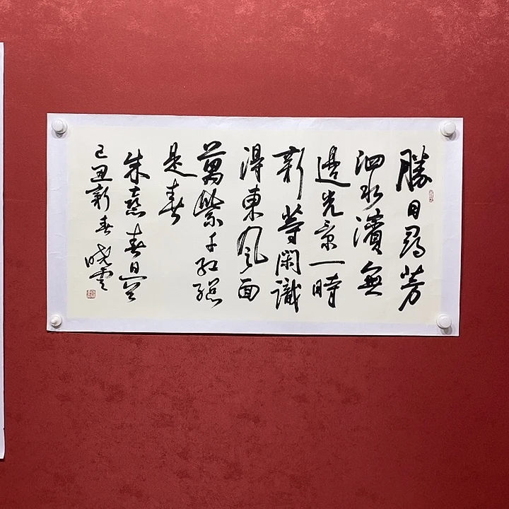 盛日寻芳直播大漏