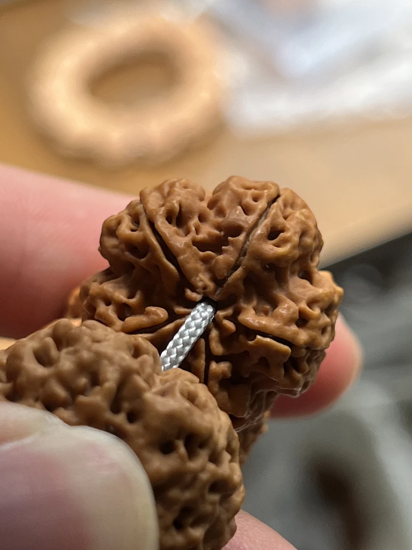 绝情梅花-【打底】超头货