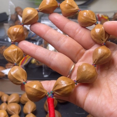 手串/手链贝壳橄榄核30.1