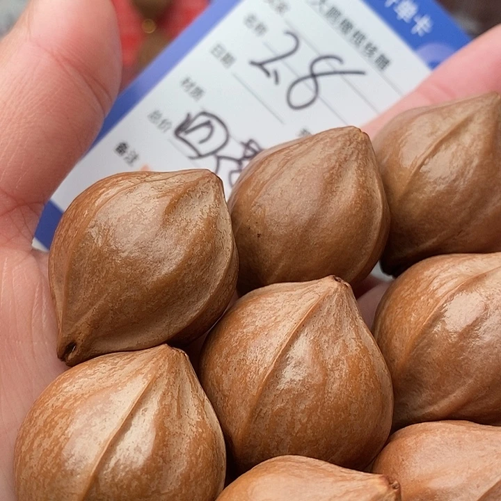 手串/手链橄榄核一*