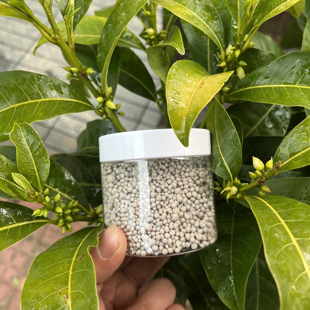 果飞自制热带果树专用肥  嘉宝果 黄晶果 妈咪果 各种热带果树