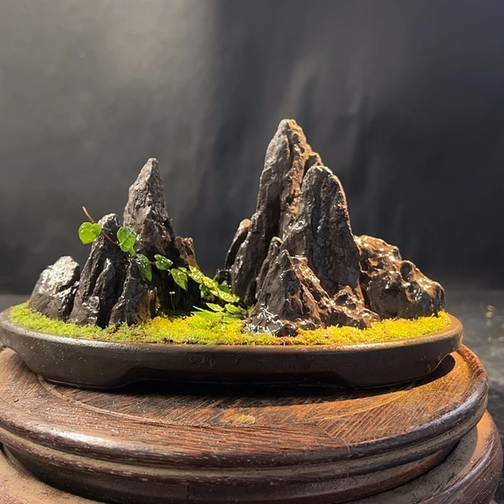 手工制作宋山盆景009