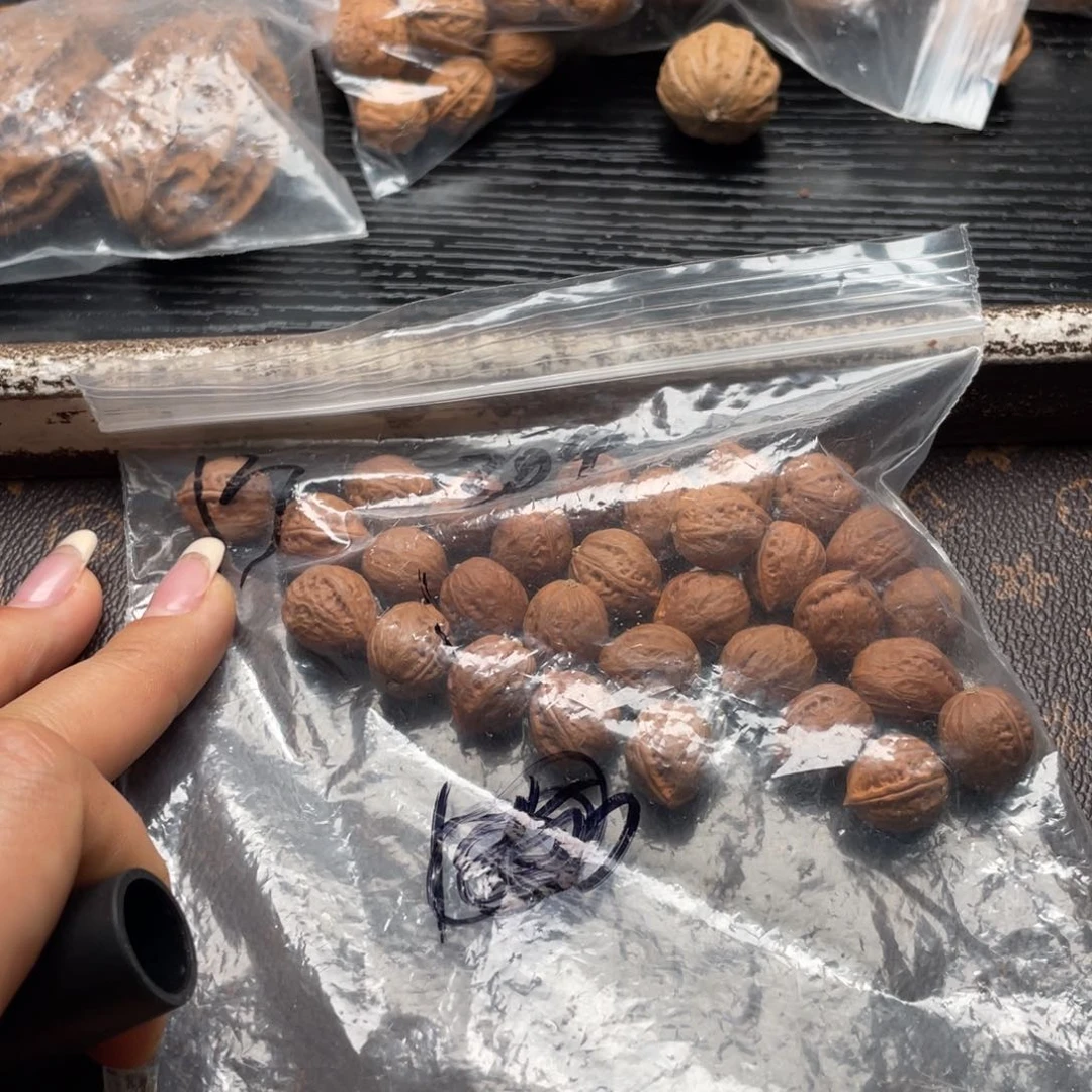 【闪购商品】核桃其他私人定制，不退不换，80米