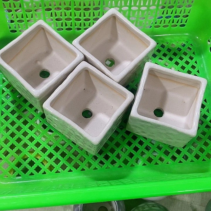 花盆抢购清货马上开始