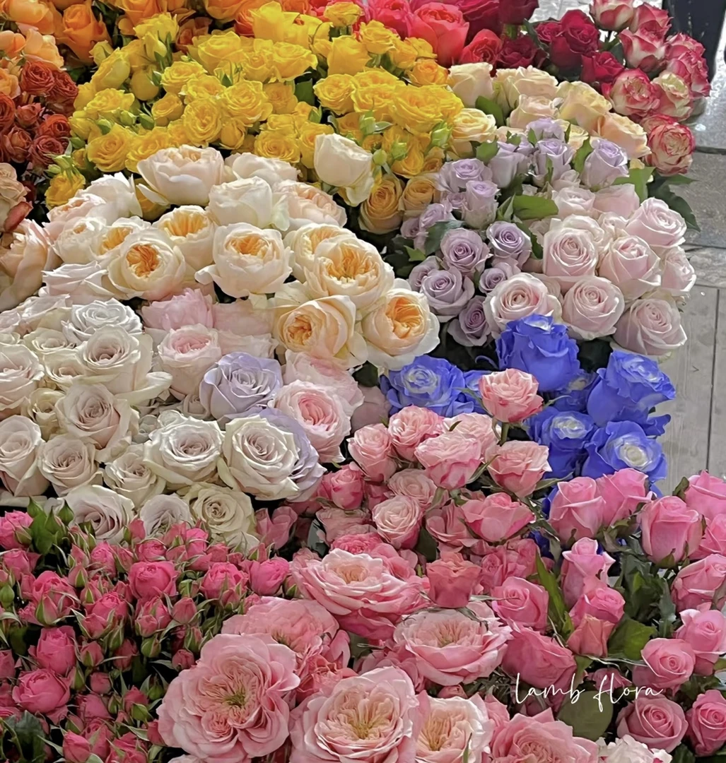 006「花仙子鲜花」粉玫瑰+香水百合+香雪兰+配草营养液