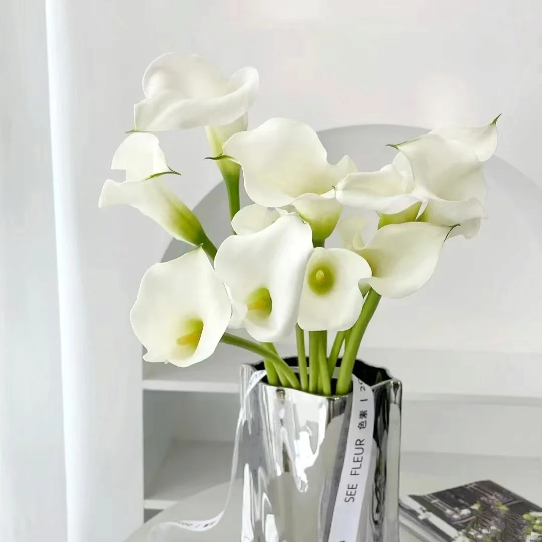 白色马蹄莲 盆栽耐寒花期长室内阳台 云南鲜花绿植