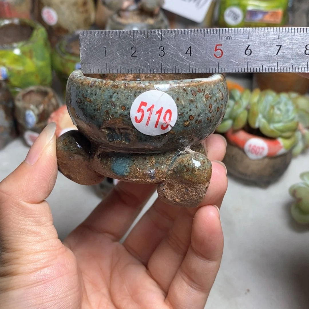 拍5送一个小礼物