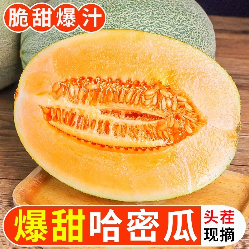 【京东航空】新疆吐鲁番火焰山哈密瓜 西州蜜瓜25号