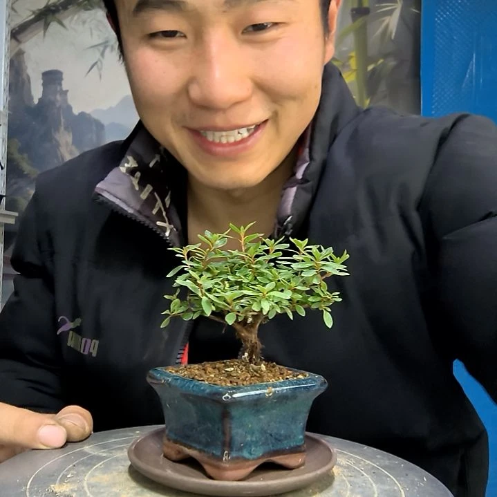 圆**吖中青园艺一物一拍花219
