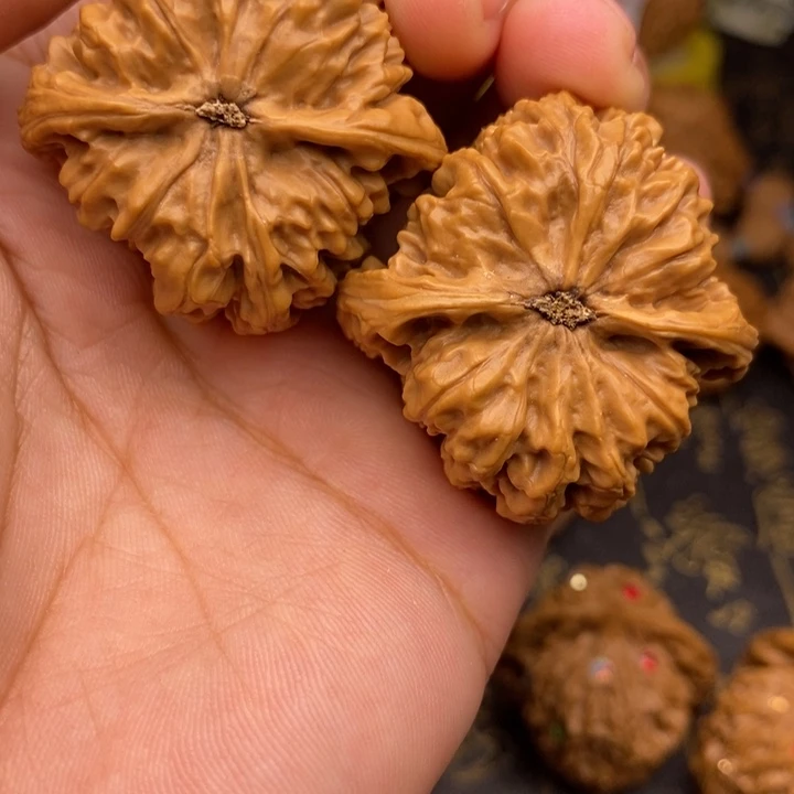 文玩核桃把件蛟龙