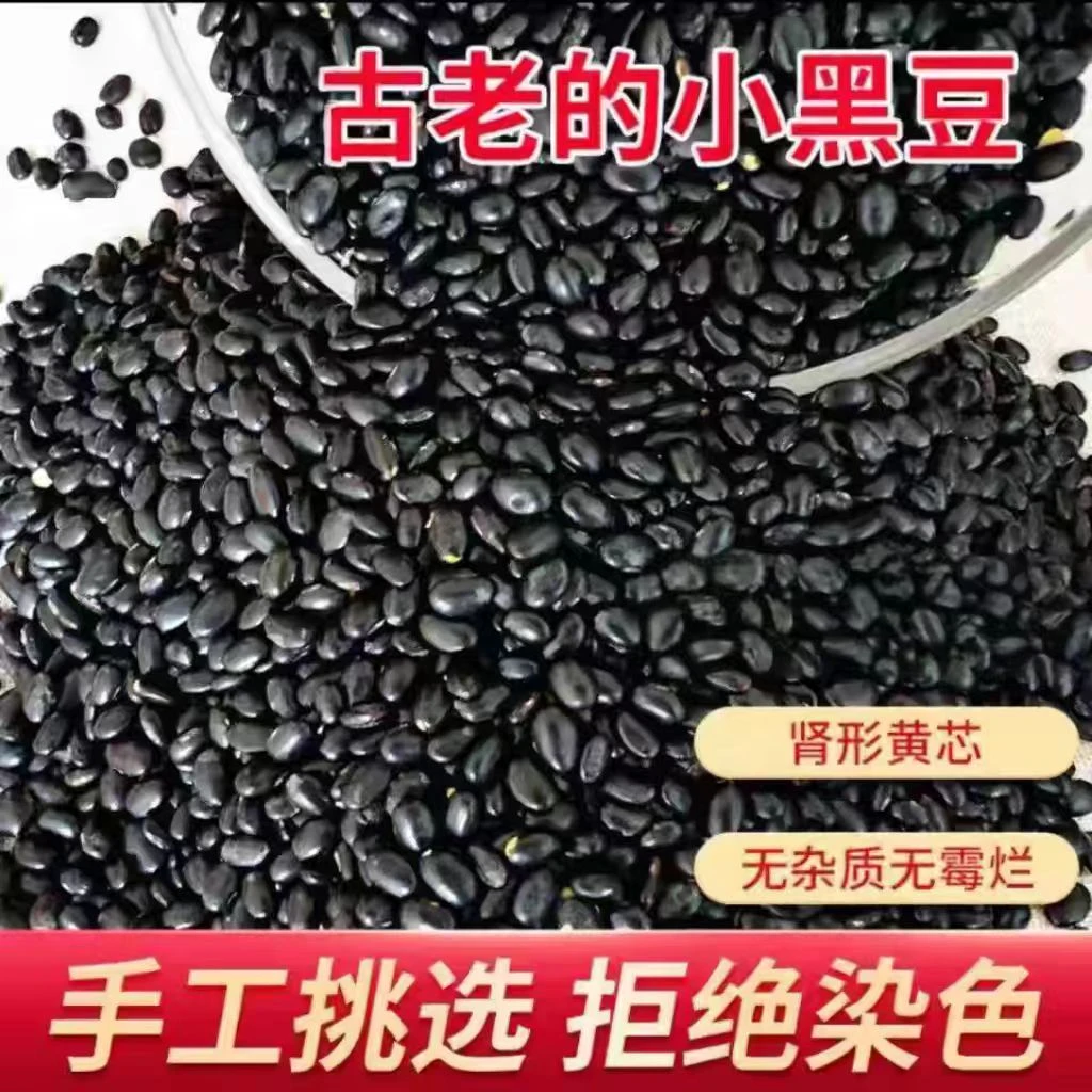 黄心黑豆纯黑豆新货老品种农家自产肾形黄心黑豆营养丰富可打豆浆