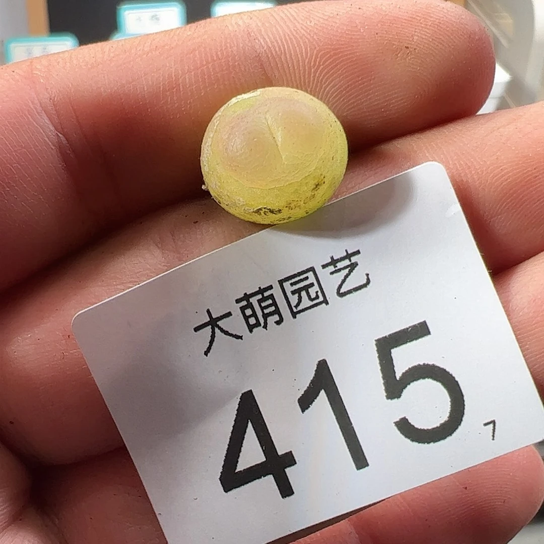 0000415 一物一拍……