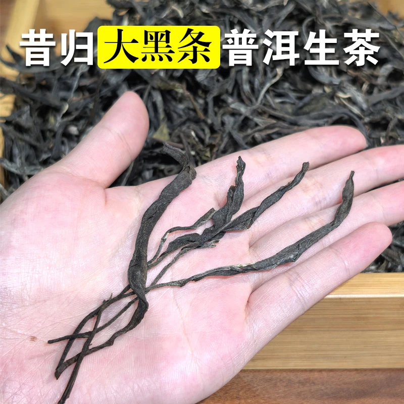 【昔归大黑条】2025 普洱生茶 香高味醇 回甘持久