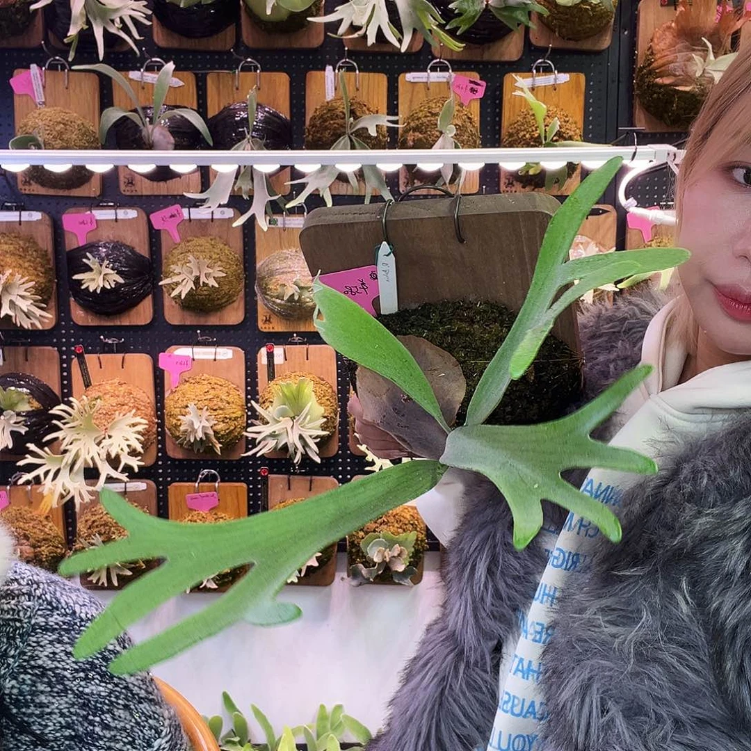 秒 yot bahia 侧。