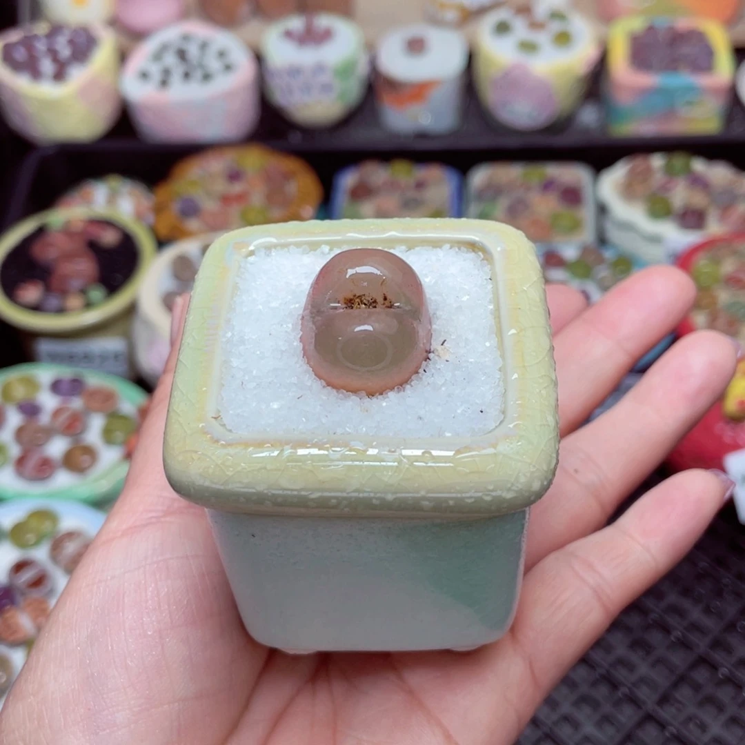 w6933 -零下地区拍保温箱-15支持寄养