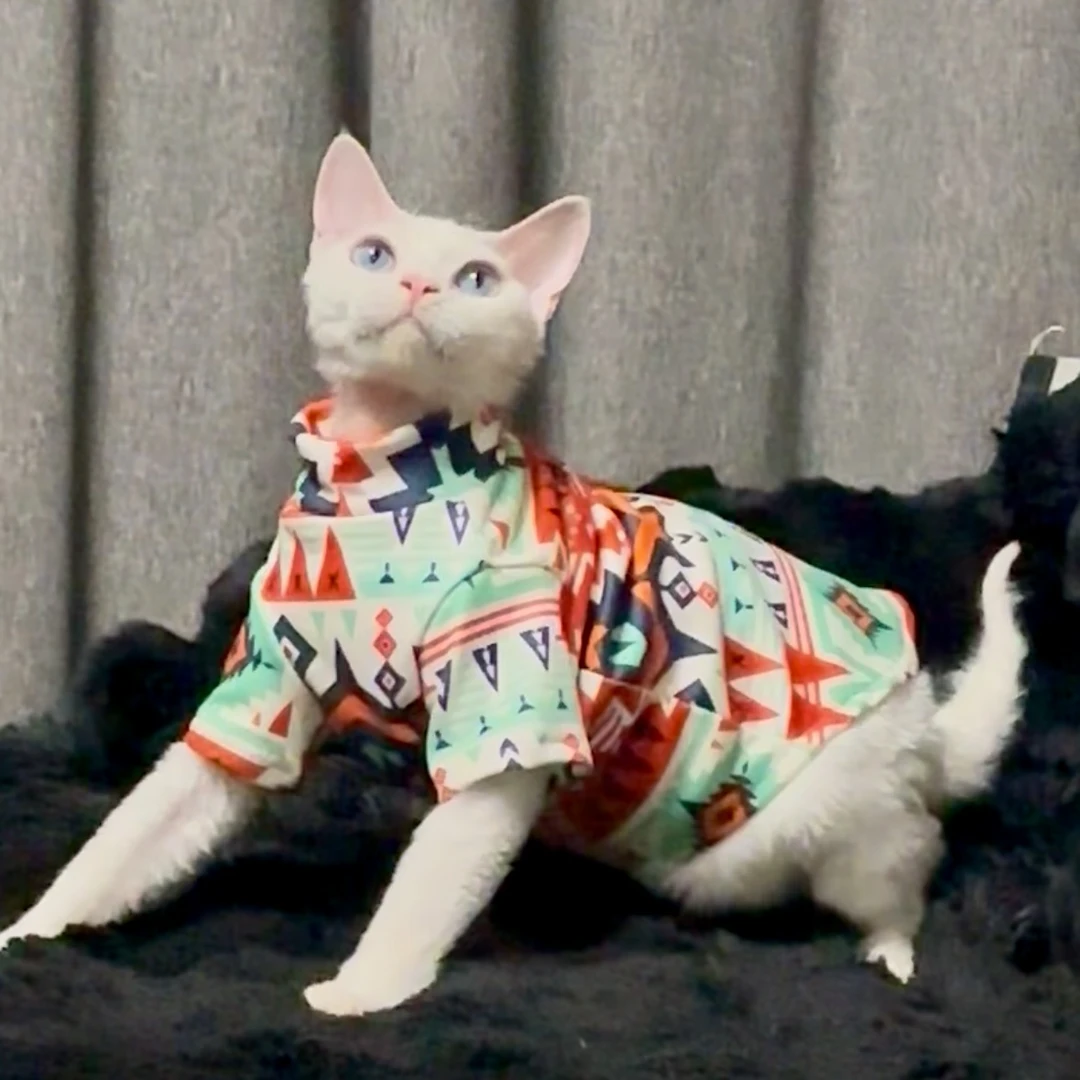 2025年秋冬新款斯芬克斯猫衣服加厚德绒御寒无毛猫衣服专用