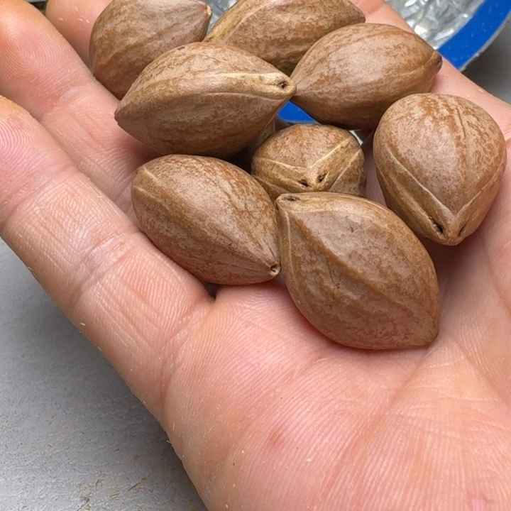 ⊿***、橄榄核手串/手链橄榄核2.1