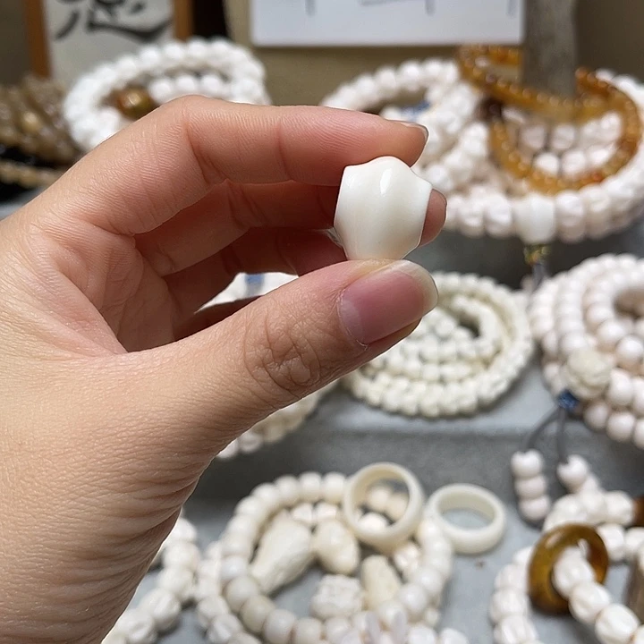 香榧木鹿角1.5鲨鱼呗