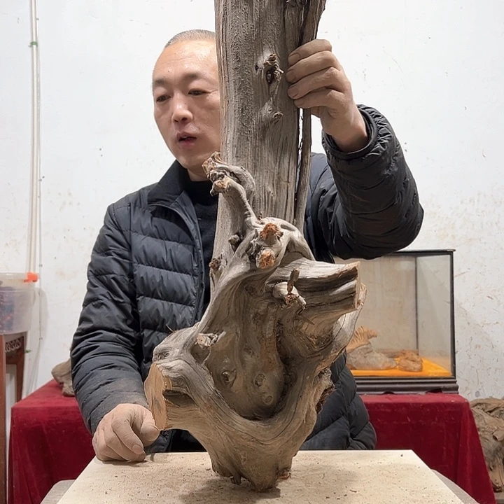 柏木不****头我们的生活也会越来越美好