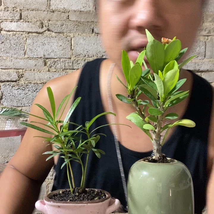 完全开放退款拉黑一物一拍176