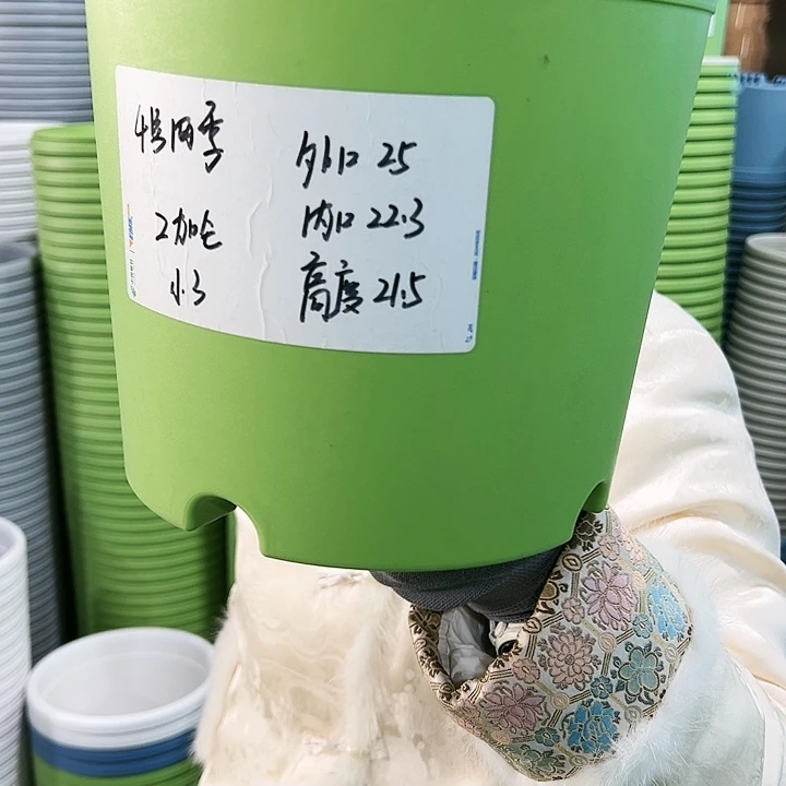 特价4号四季口25高21.5果绿无托8个