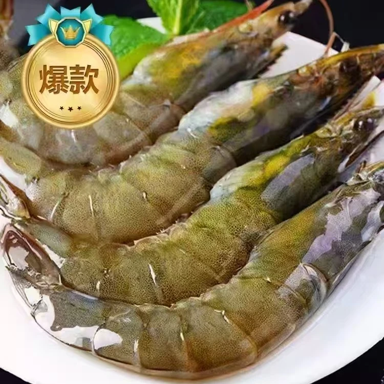 鲜活南美活对虾大海虾500g