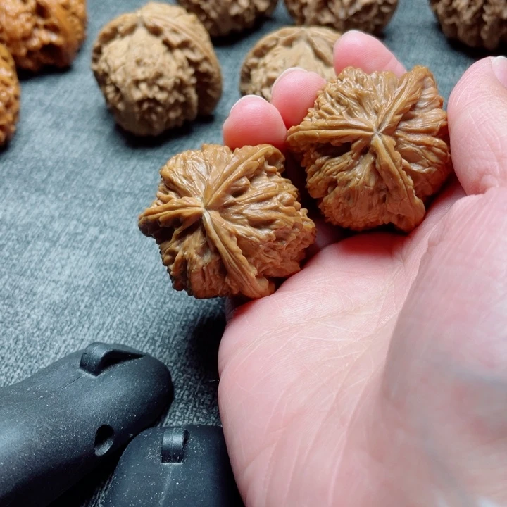 智***长手工三棱白狮子三棱
