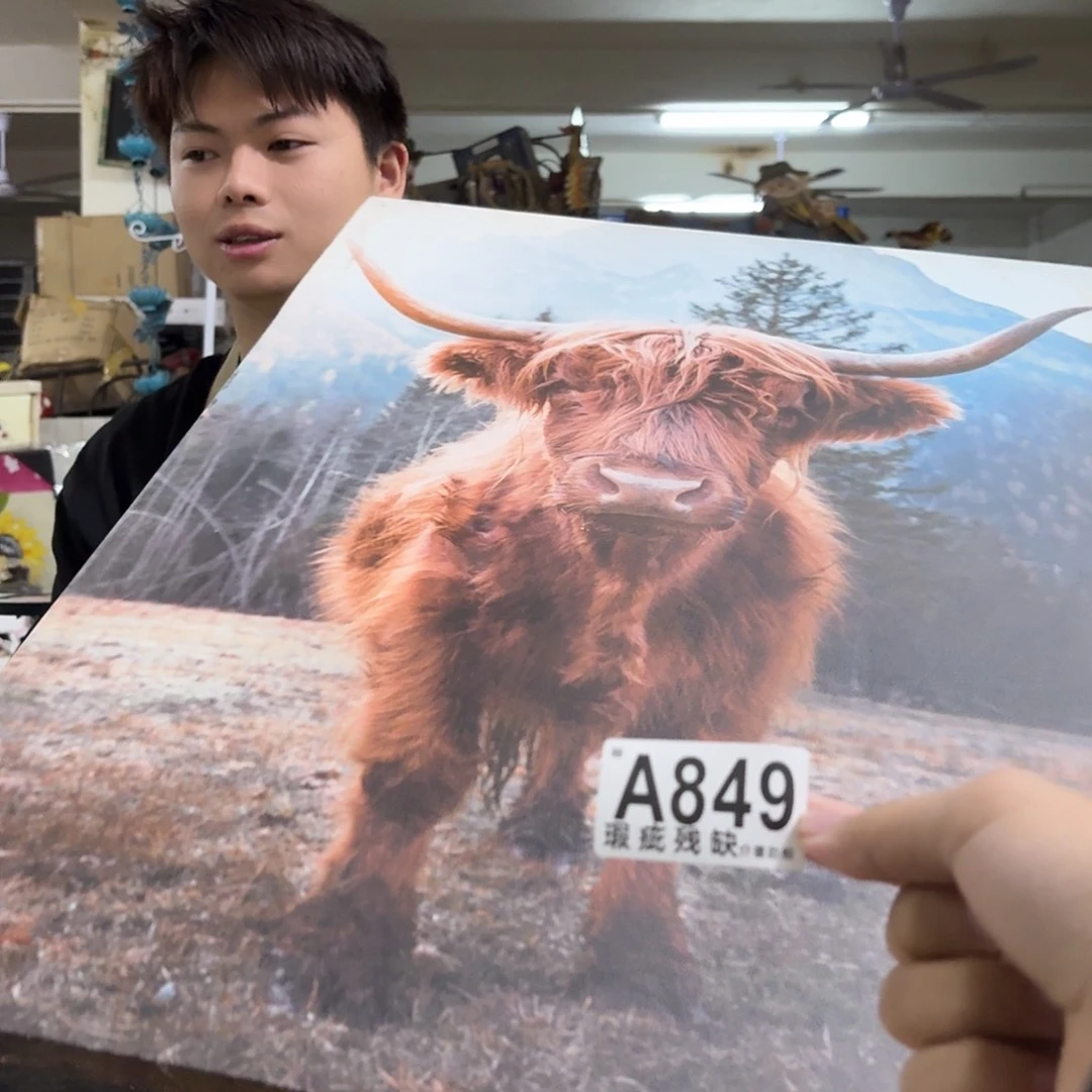 核桃木/黑胡桃（胡桃木）