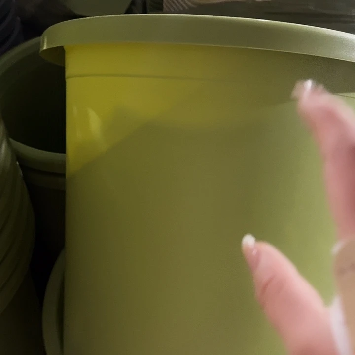 四季12号果绿无托2个特价