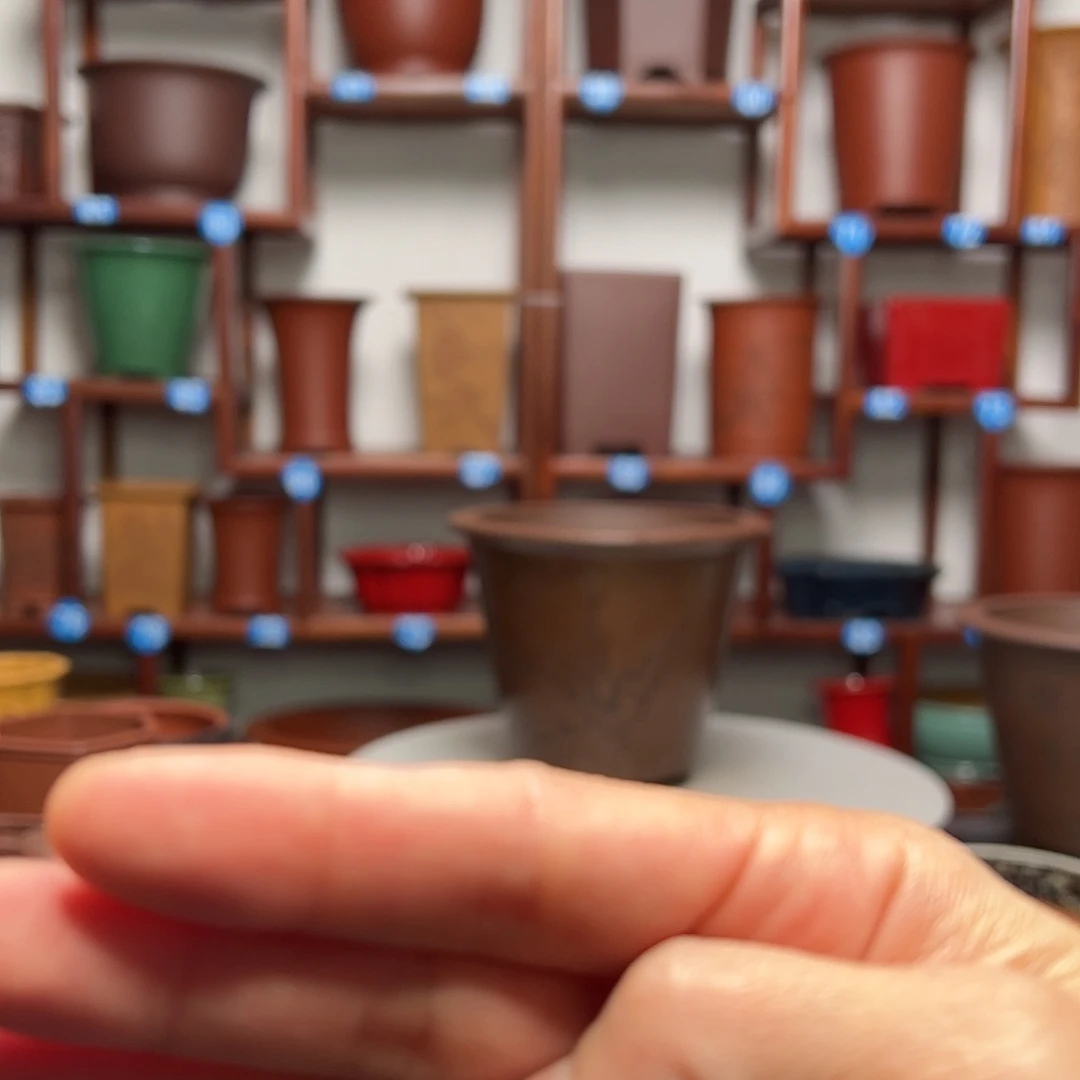 紫砂花盆花*圆斗花盆