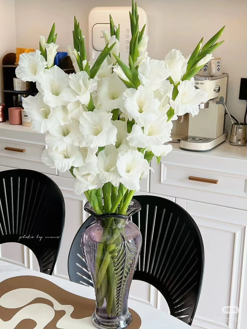 (剑兰基地直发）云南鲜花顺丰包邮