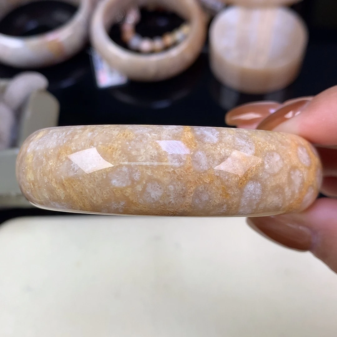 【闪购商品】颈饰未镶嵌硅化珊瑚（珊瑚玉）当***袭