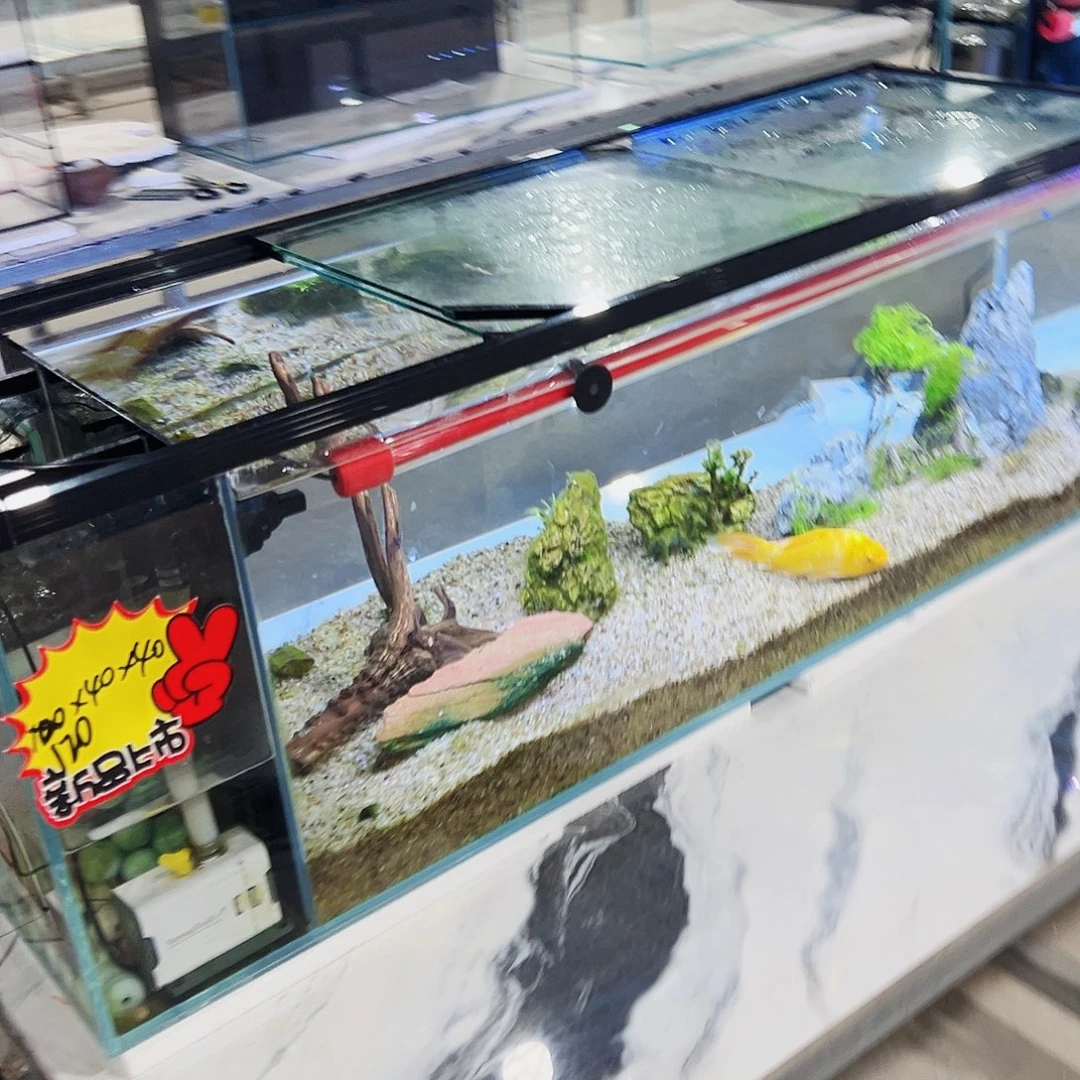 寻***江玻璃1.24040侧鱼马桶不要盖