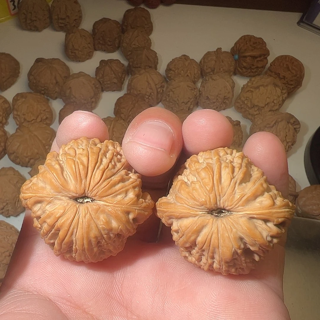 S***_猴头核桃吊坠文玩