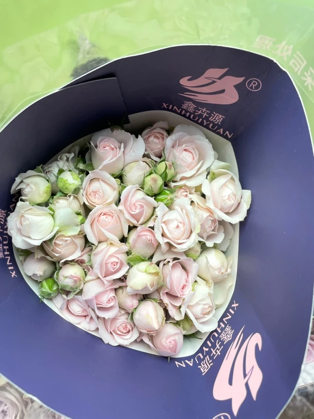 仙子之吻泡泡10支