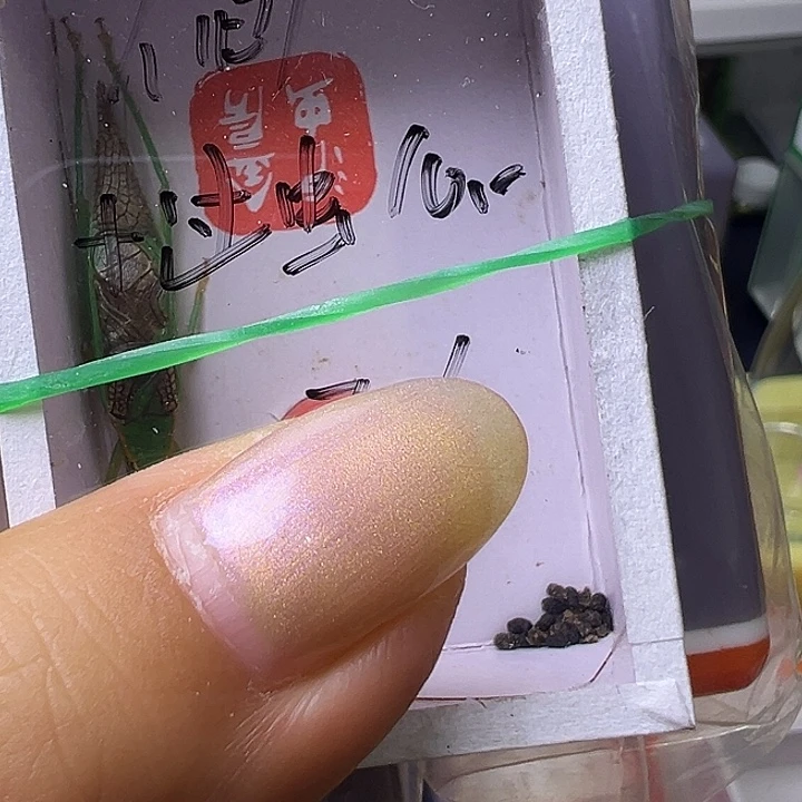 人***狱蟋蟀哈哈哈哈哈哈哈哈哈哈哈