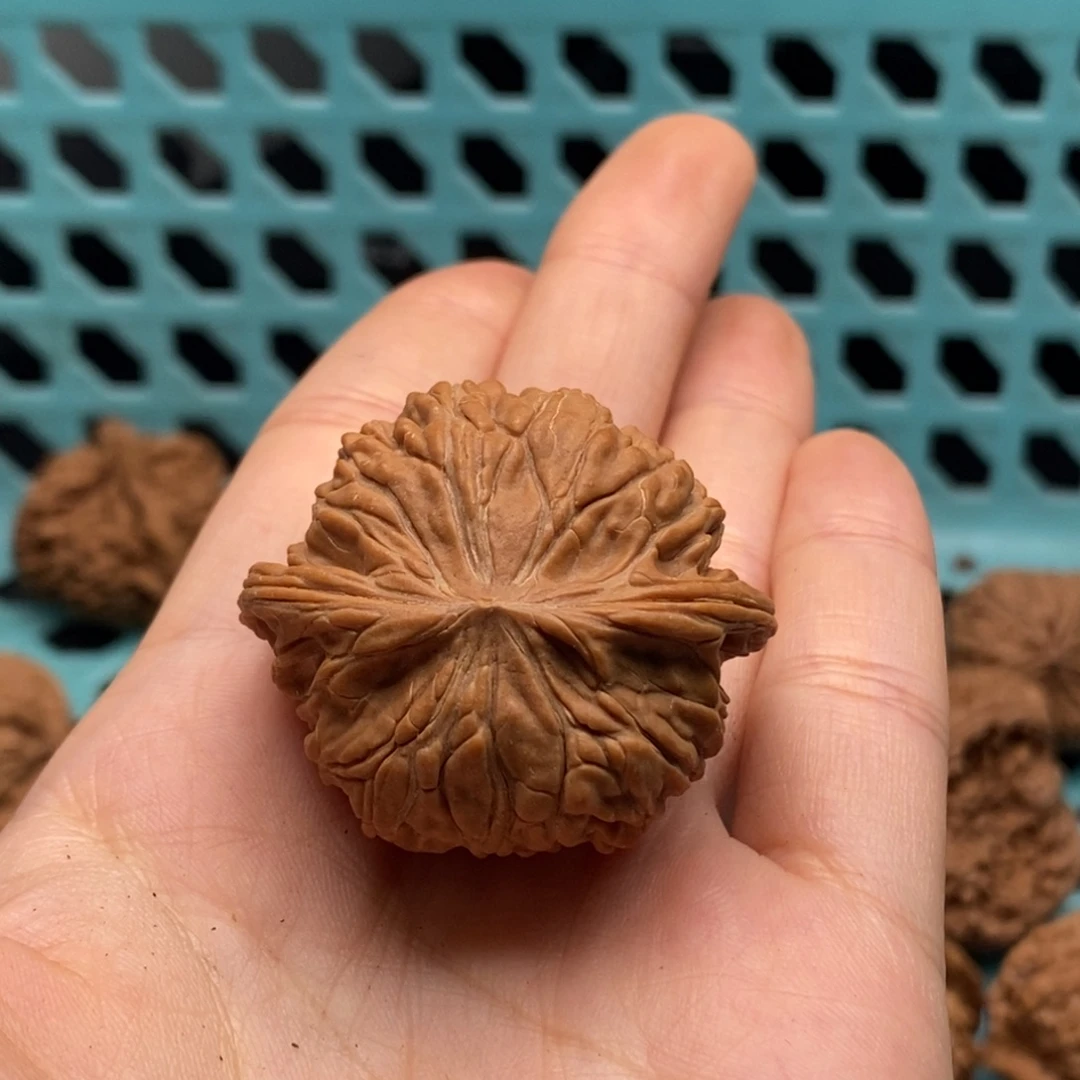 静***朗核桃定制商品不退不换