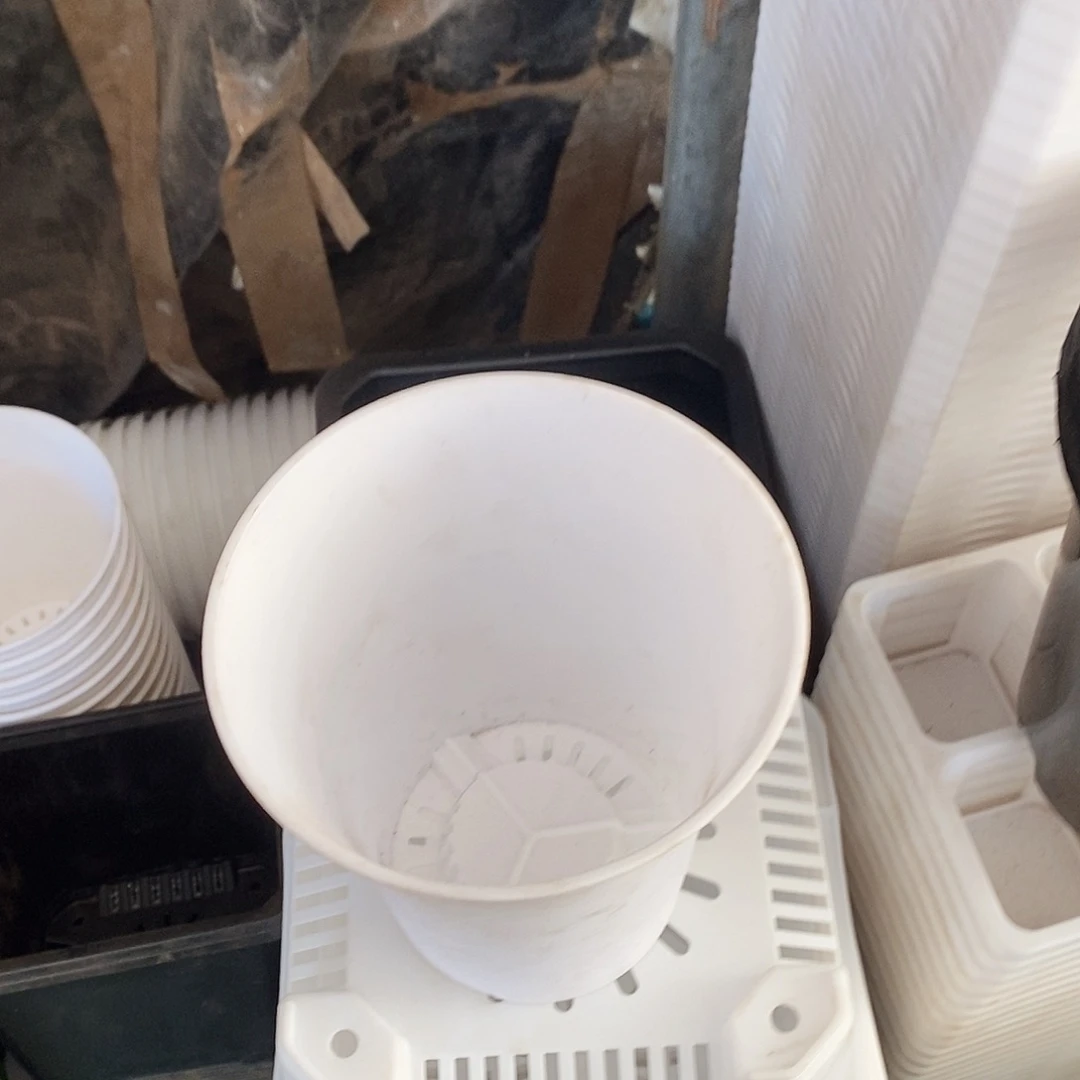 塑料新13.5 白万象盆5送一