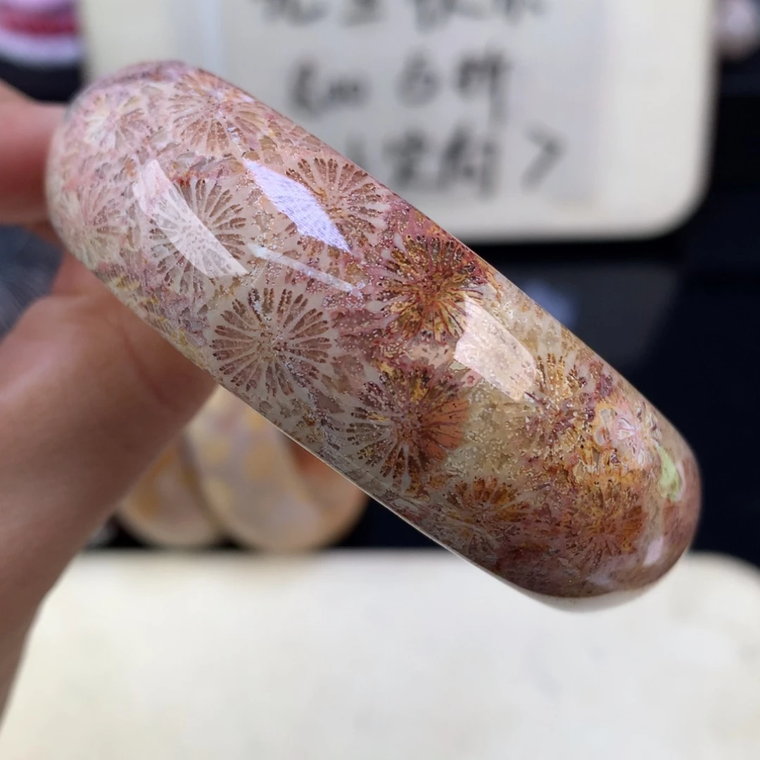 硅化珊瑚（珊瑚玉）未镶嵌颈饰800漏400赞比59圈（15号）