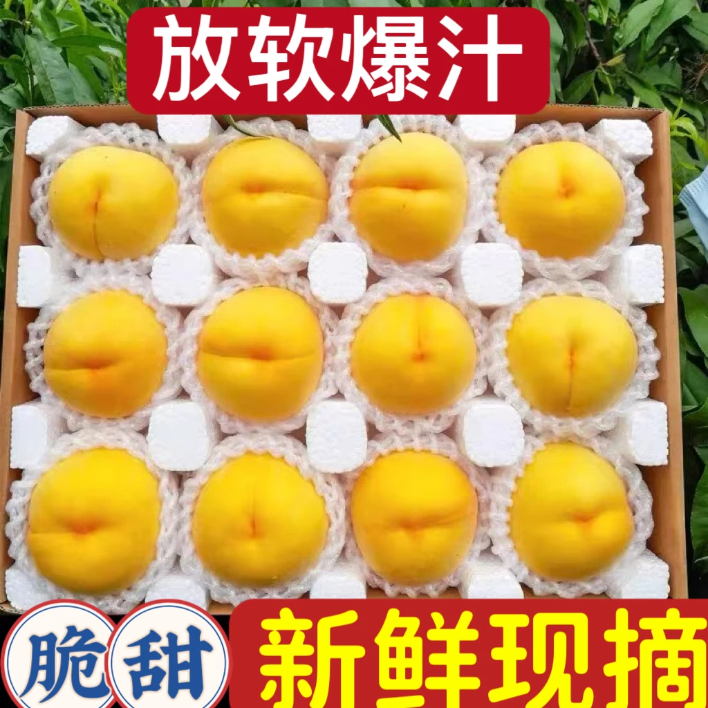 新鲜应季蜜桃甜嫩多汁现摘现发锦绣黄桃