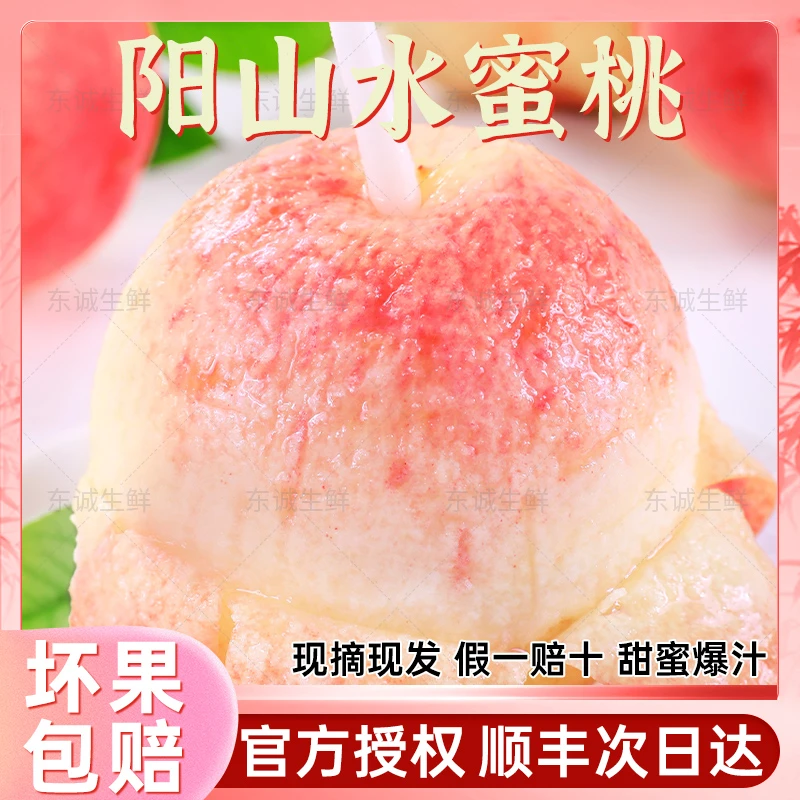 【正宗阳山水蜜桃】5-6两 买4个送4个新鲜水果甜软桃子每日现采摘日川 京红 产地直发顺丰包邮桃子同城送江苏省