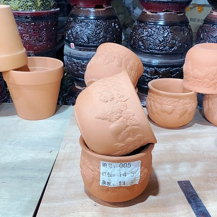 红陶005-2